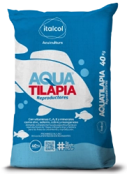 Aquatilapia reproductores, Italcol
