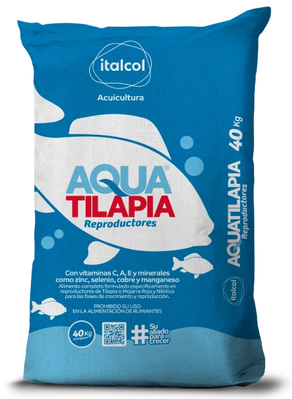 aquatilapia-reproductores Aquatilapia resproductores