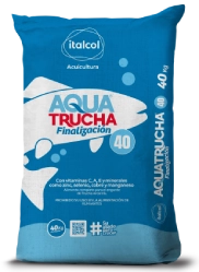 Aquatrucha finalización 40, Italcol