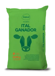 Ital Ganador, Italcol Panamá