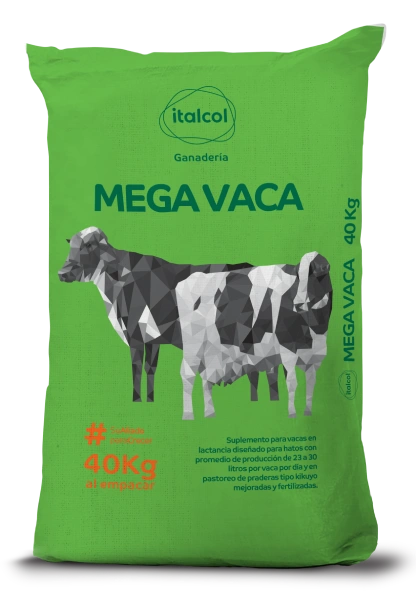mega-vaga Mega vaca