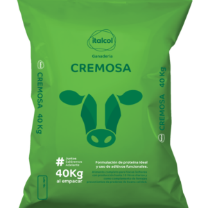 Cremosa Italcol