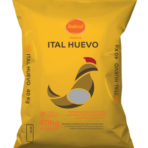 ITAL HUEVO (Fase Producción)