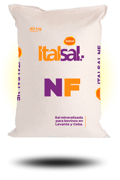 atalsal_NF_40k_grande