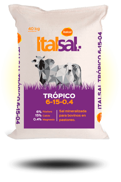 atalsal_tropico_6_15_40k_grande
