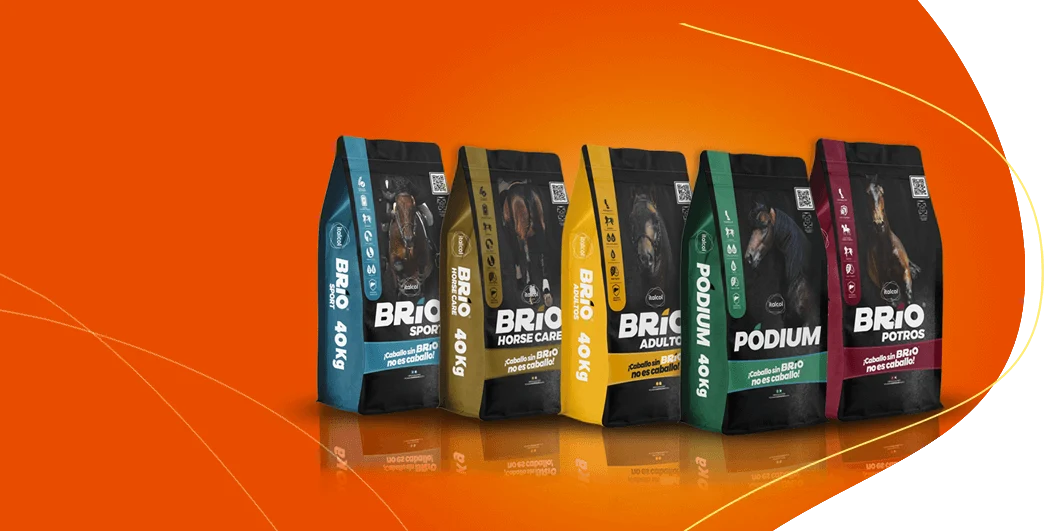 concentrado para equinos