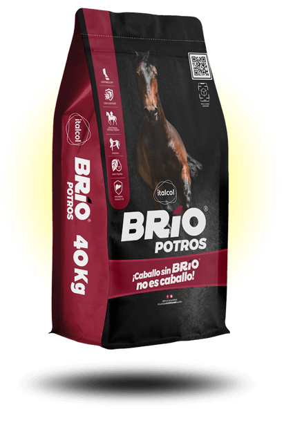 brio_potros_40kg