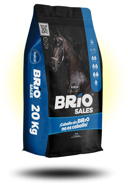 brio_sales_20kg
