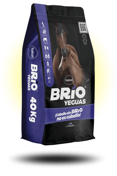 brio_yeguas_40kg