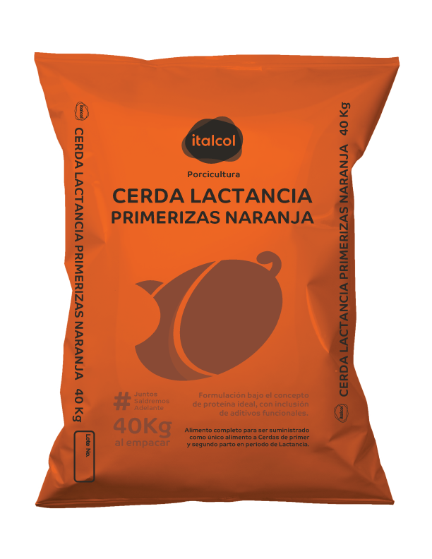 cerda-lactancia-primeriza-naranja-40kgs