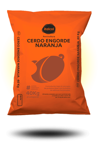 cerdo_engorde_naranja
