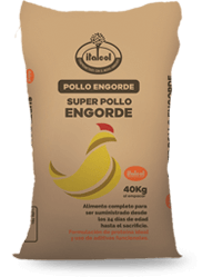 dorada_engorde_peque