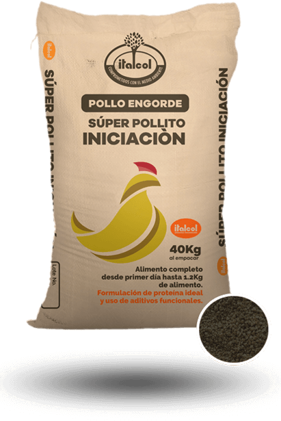 dorada_iniciacion_grande