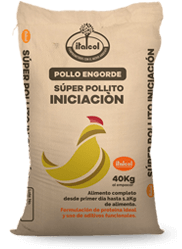 dorada_iniciacion_peque