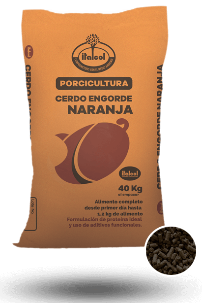 engorde_grande_porci