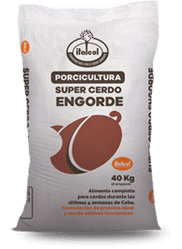 engorde_super_peque_porci