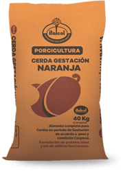 gestacion_peque_porci