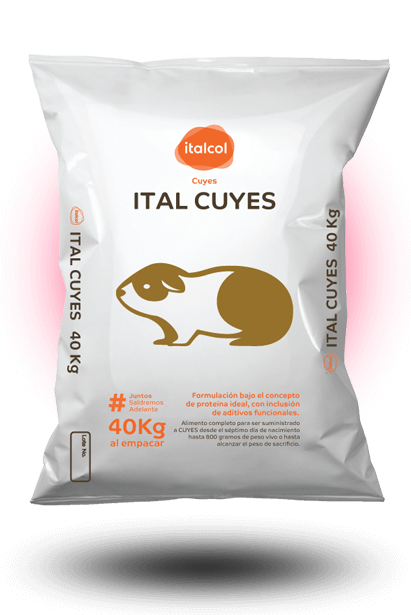 italcuyes_grande
