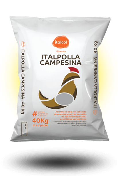 italpolla_campesina_grande