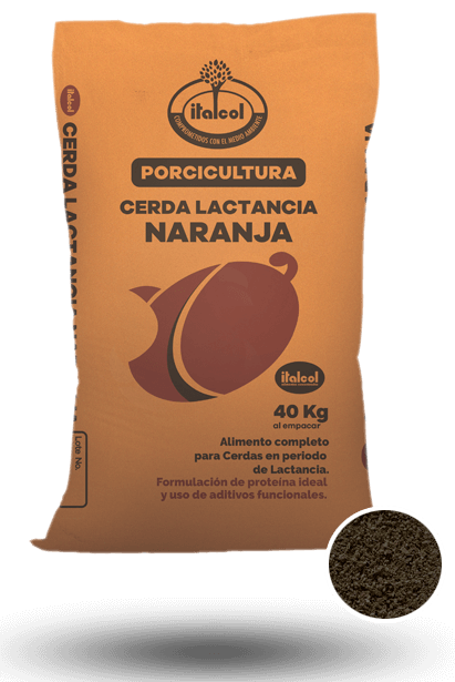 lactancia_grande_porci