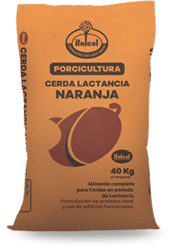 lactancia_peque_porci