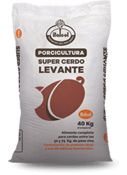 levante_super_peque_porci