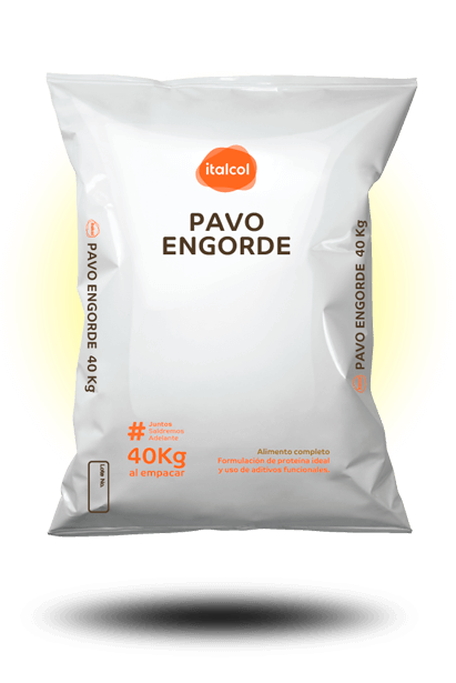 pavo_engorde_40k
