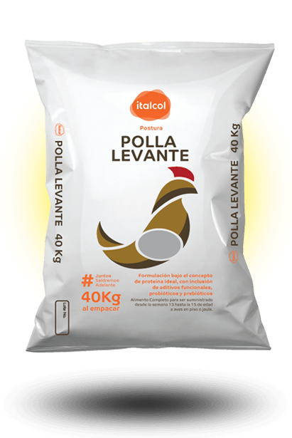 polla_levante_grande