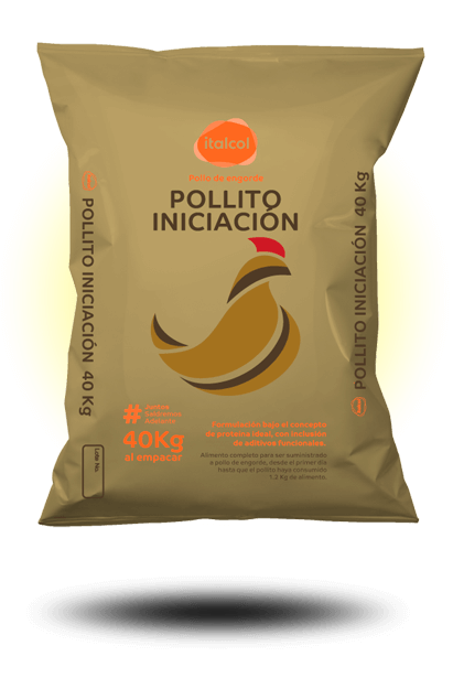 pollito_iniciacion_40_grande