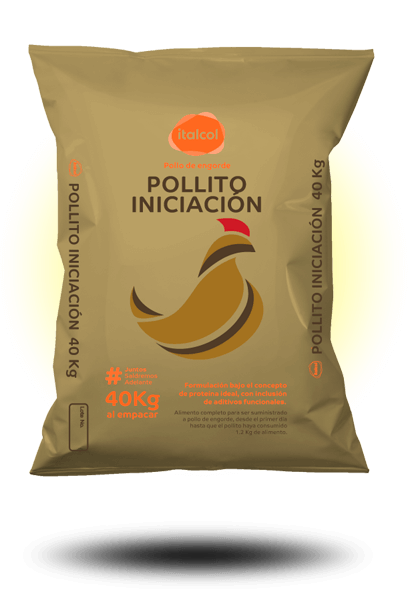 pollito_iniciacion_dorado_40k