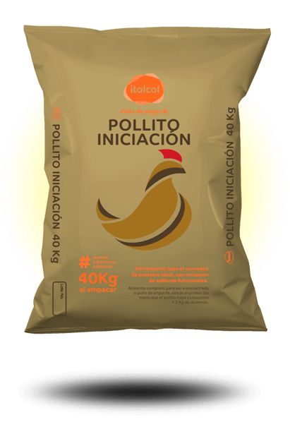 pollito_iniciacion_grande