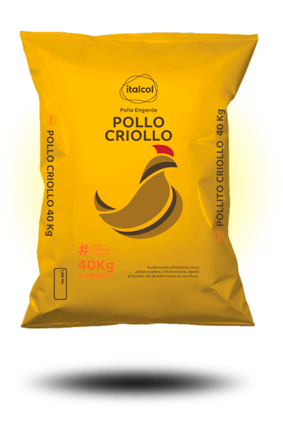 pollo_criollo_40k