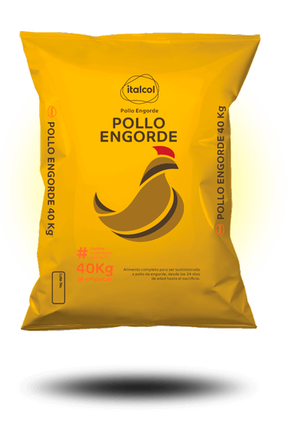 pollo_engorde_40k