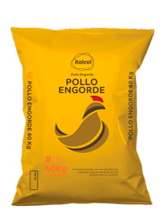pollo_engorde_40k_peque