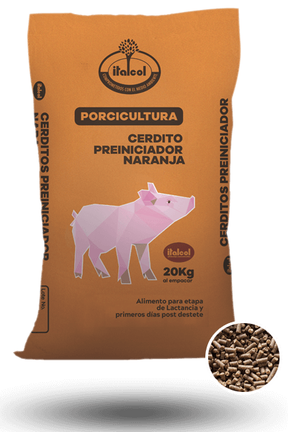 preiniciador_grande_porci