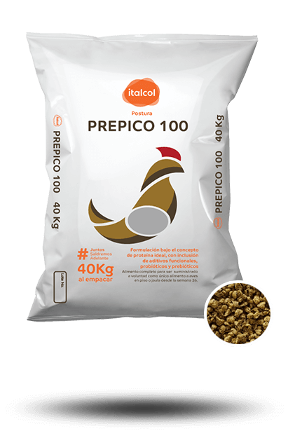 prepico_100_grande_postura