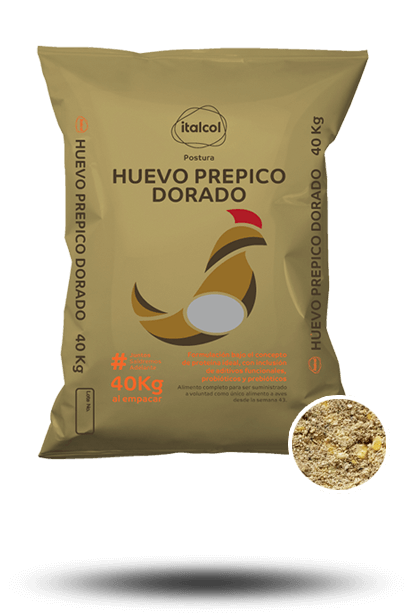 prepico_100dorado_grande_postura