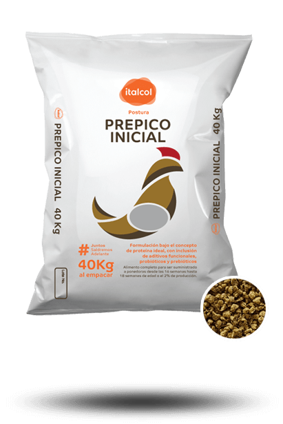 prepico_inicial_grande_postura