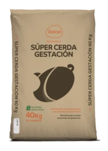Súper Cerda Gestación