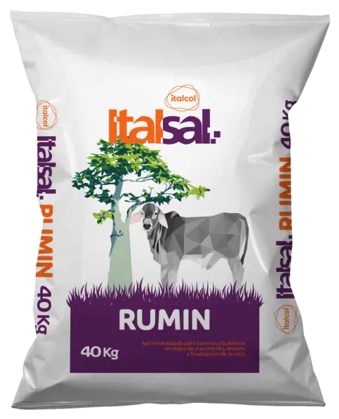 Italsal-Rumin