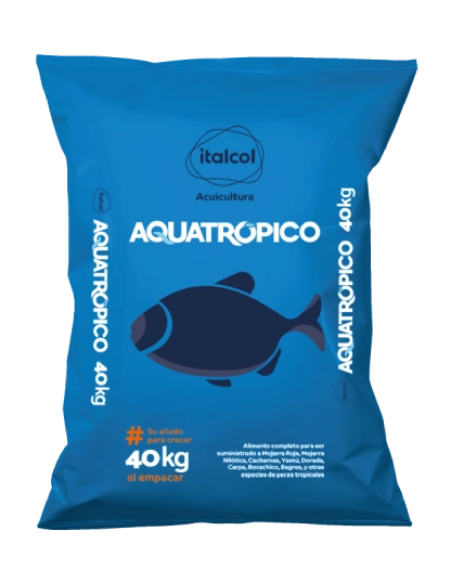 acuatropico Aquatrópico