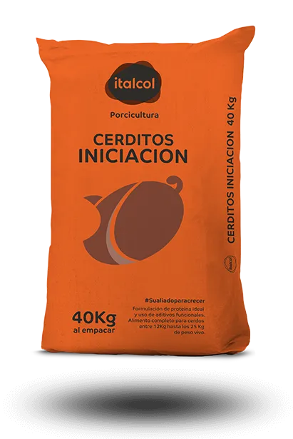 cerdito-iniciacion-grande