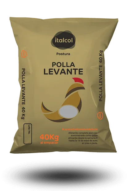 polla-levante-grande