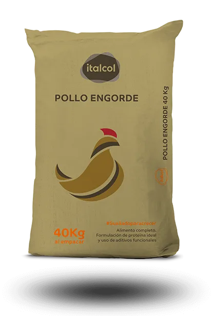 pollo-mix-inicio-grande