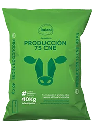 Producción 75 CNE, Italcol