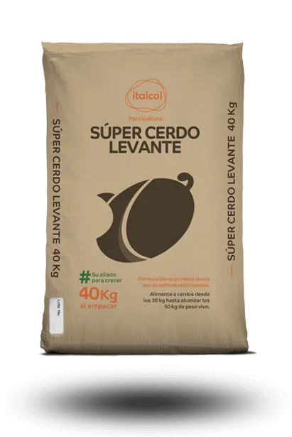super-cerdo-levante-grande-cafe