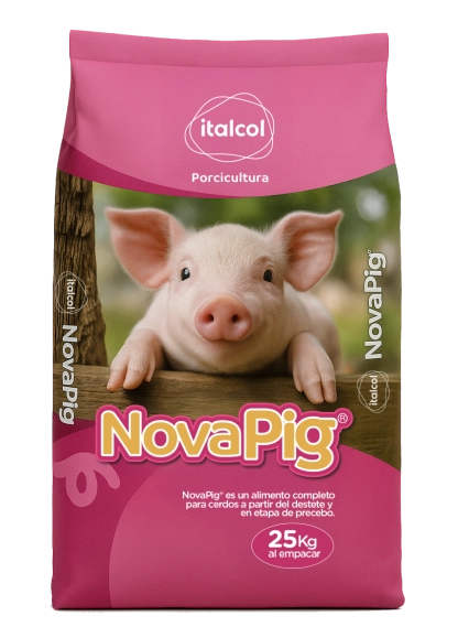 novapig-fase-1-panama