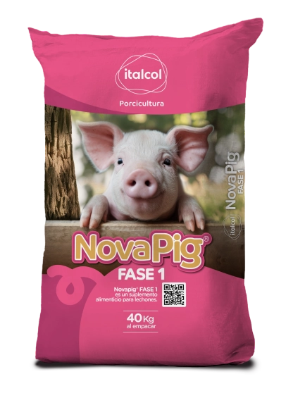 novapig-fase-1 NovaPig Fase 1